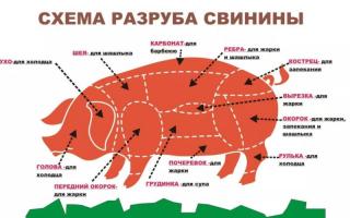 Шашлыки из свинины: лучшие рецепты с сочным и нежным мясом