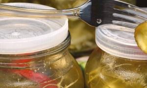 Солёные огурцы на зиму: Рецепты засолки на зиму вкусных огурчиков